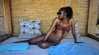 Camelto Snapshot