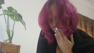 LucyWlide Snapshot