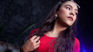 DafneStone Snapshot