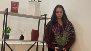 HenrySerano Snapshot