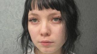 AraceliVolin Snapshot