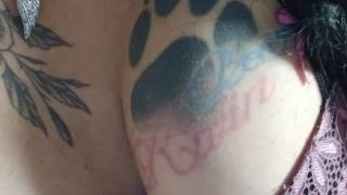 Kleinestern Snapshot