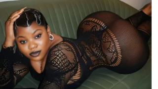 DaniellaBrow Snapshot