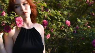 MyrtaGulliver Snapshot