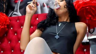 HarperLevig Snapshot