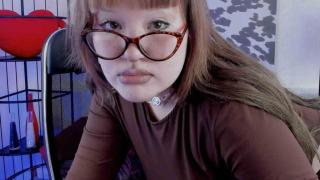 OpalisSenseNova Snapshot