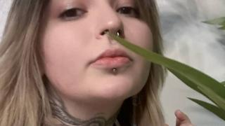 EvaFunky Snapshot